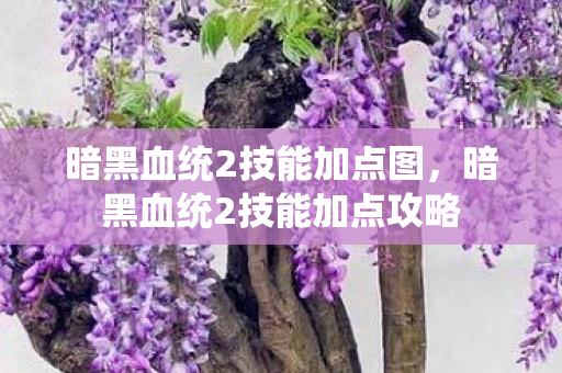 暗黑血统2技能加点图，暗黑血统2技能加点攻略