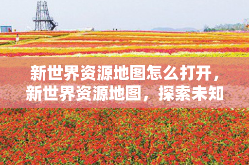 新世界资源地图怎么打开，新世界资源地图，探索未知领域的宝藏