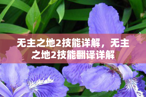 无主之地2技能详解，无主之地2技能翻译详解