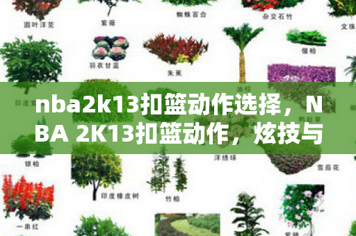 nba2k13扣篮动作选择，NBA 2K13扣篮动作，炫技与激情的完美结合