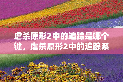 虐杀原形2中的追踪是哪个键，虐杀原形2中的追踪系统深度解析