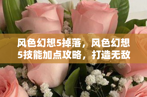 风色幻想5掉落，风色幻想5技能加点攻略，打造无敌战斗配置