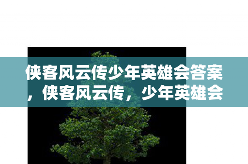 侠客风云传少年英雄会答案，侠客风云传，少年英雄会