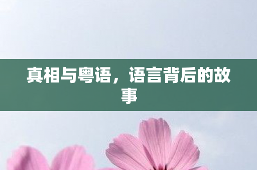真相与粤语，语言背后的故事