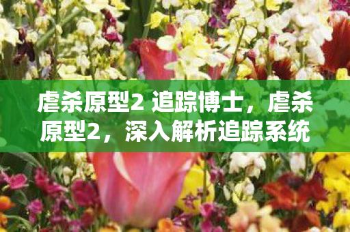 虐杀原型2 追踪博士，虐杀原型2，深入解析追踪系统及其魅力