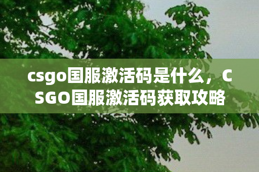 csgo国服激活码是什么，CSGO国服激活码获取攻略