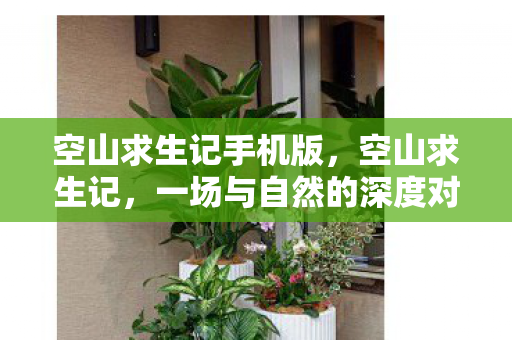 空山求生记手机版，空山求生记，一场与自然的深度对话