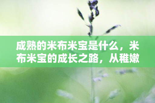 成熟的米布米宝是什么，米布米宝的成长之路，从稚嫩到成熟