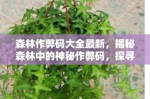 森林作弊码大全最新，揭秘森林中的神秘作弊码，探寻自然之秘与道德之界