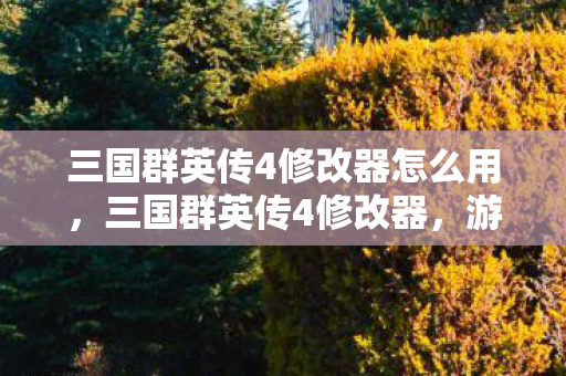 三国群英传4修改器怎么用，三国群英传4修改器，游戏辅助的利与弊