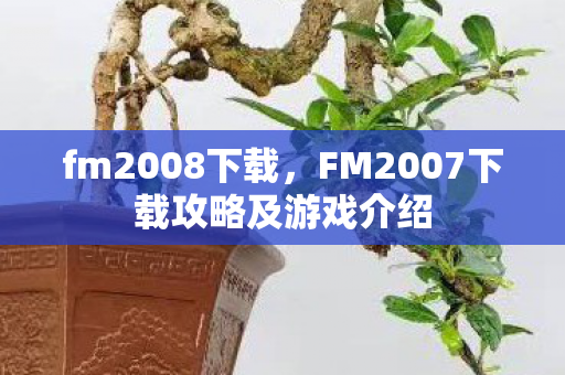 fm2008下载，FM2007下载攻略及游戏介绍