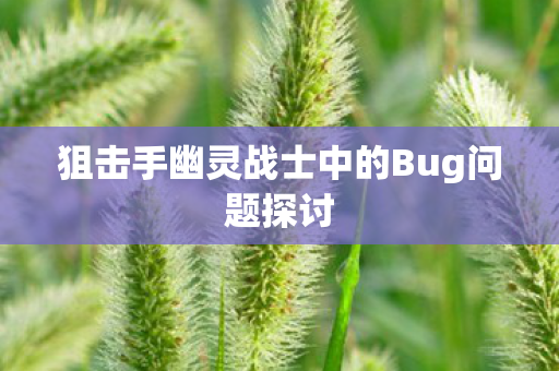 狙击手幽灵战士中的Bug问题探讨