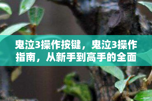 鬼泣3操作按键，鬼泣3操作指南，从新手到高手的全面解析
