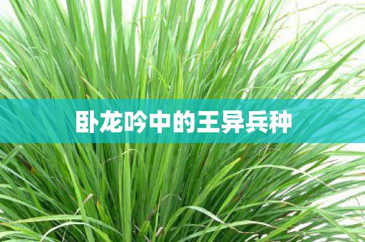 卧龙吟中的王异兵种