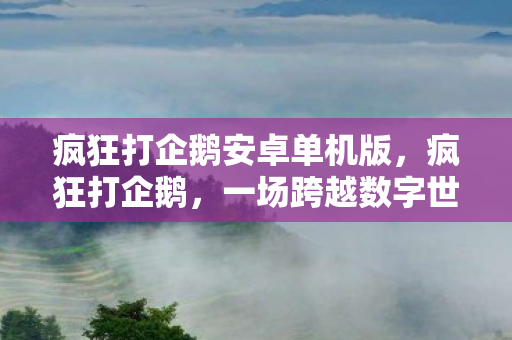 疯狂打企鹅安卓单机版，疯狂打企鹅，一场跨越数字世界的冒险之旅