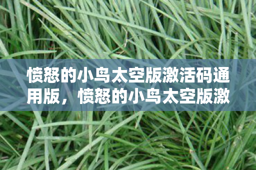 愤怒的小鸟太空版激活码通用版，愤怒的小鸟太空版激活码获取攻略及游戏深度体验