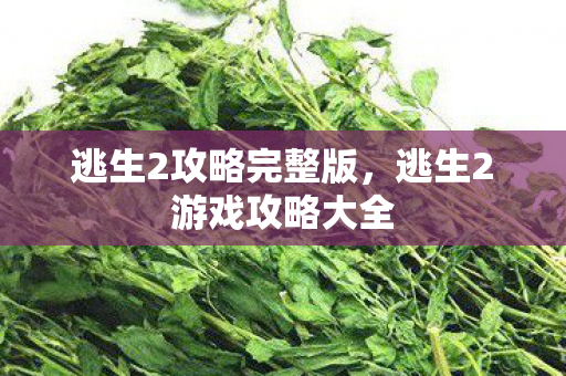 逃生2攻略完整版，逃生2游戏攻略大全
