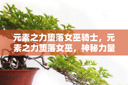 元素之力堕落女巫骑士，元素之力堕落女巫，神秘力量的觉醒与黑暗诱惑的交织