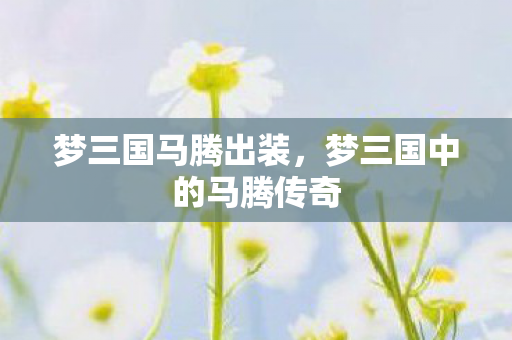 梦三国马腾出装，梦三国中的马腾传奇