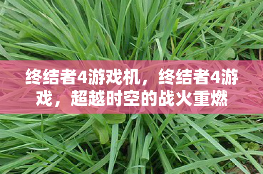 终结者4游戏机，终结者4游戏，超越时空的战火重燃