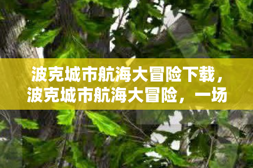 波克城市航海大冒险下载，波克城市航海大冒险，一场未知海域的探险之旅