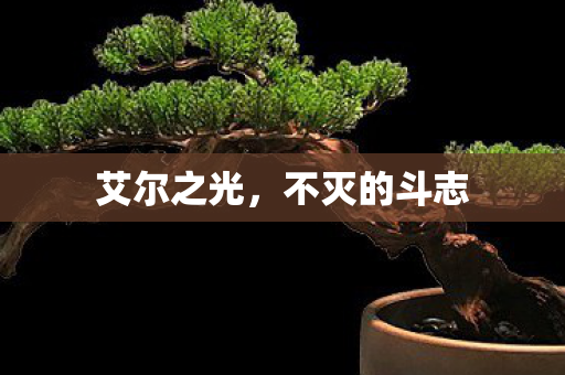 艾尔之光，不灭的斗志