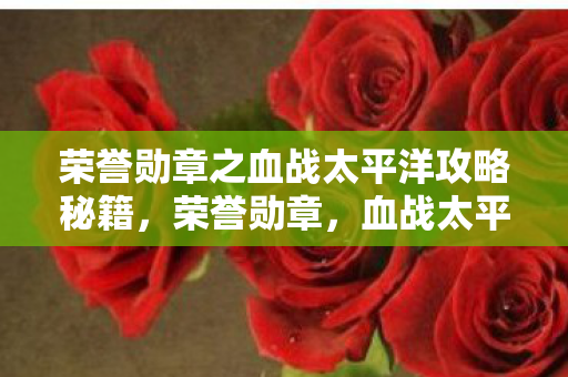 荣誉勋章之血战太平洋攻略秘籍，荣誉勋章，血战太平洋攻略