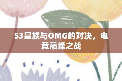 S3皇族与OMG的对决，电竞巅峰之战