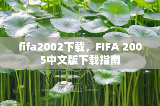 fifa2002下载，FIFA 2005中文版下载指南