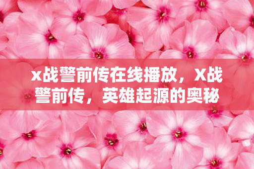 x战警前传在线播放，X战警前传，英雄起源的奥秘