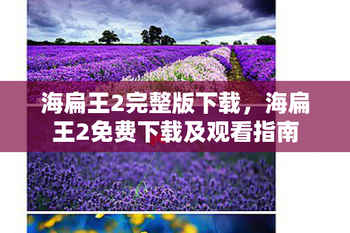 海扁王2完整版下载，海扁王2免费下载及观看指南