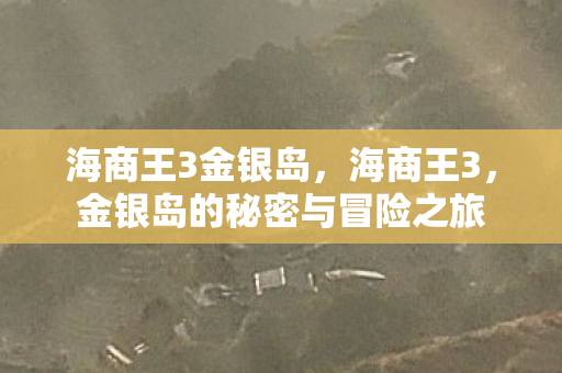 海商王3金银岛，海商王3，金银岛的秘密与冒险之旅