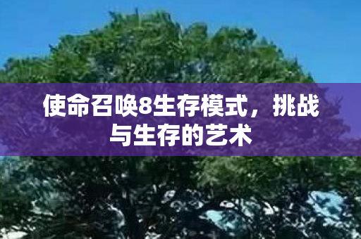 使命召唤8生存模式，挑战与生存的艺术