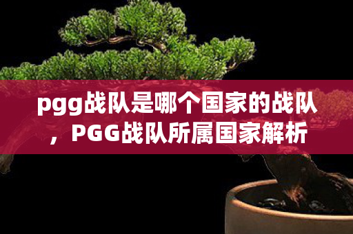 pgg战队是哪个国家的战队，PGG战队所属国家解析