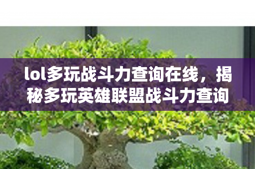lol多玩战斗力查询在线，揭秘多玩英雄联盟战斗力查询系统，如何提升你的战斗实力？