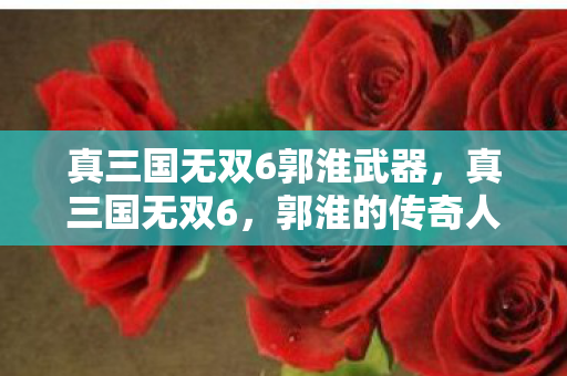 真三国无双6郭淮武器，真三国无双6，郭淮的传奇人生