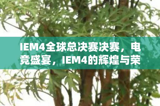IEM4全球总决赛决赛，电竞盛宴，IEM4的辉煌与荣耀时刻