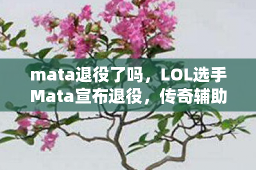 mata退役了吗，LOL选手Mata宣布退役，传奇辅助的告别