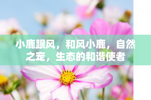 小鹿跟风，和风小鹿，自然之宠，生态的和谐使者