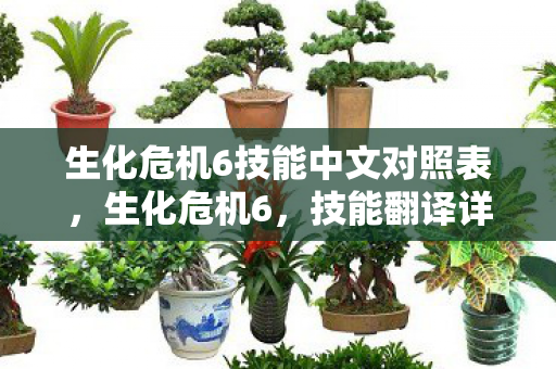 生化危机6技能中文对照表，生化危机6，技能翻译详解