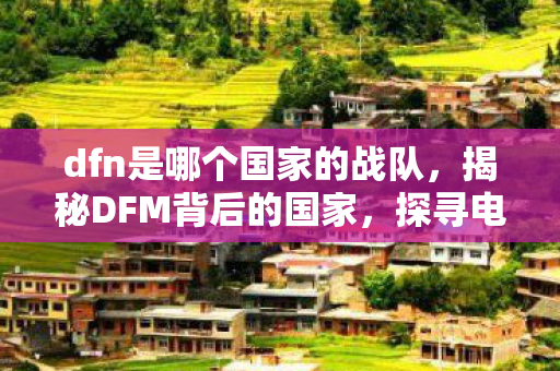dfn是哪个国家的战队，揭秘DFM背后的国家，探寻电竞界的神秘力量