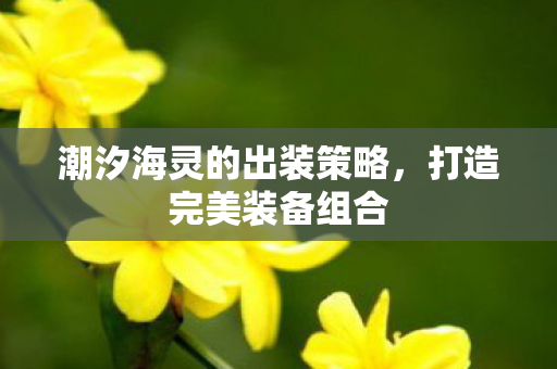 潮汐海灵的出装策略，打造完美装备组合