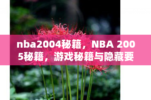 nba2004秘籍，NBA 2005秘籍，游戏秘籍与隐藏要素大揭秘