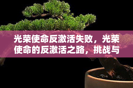 光荣使命反激活失败，光荣使命的反激活之路，挑战与机遇并存
