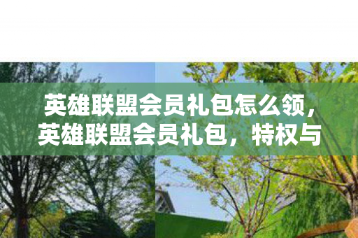 英雄联盟会员礼包怎么领，英雄联盟会员礼包，特权与荣耀的象征