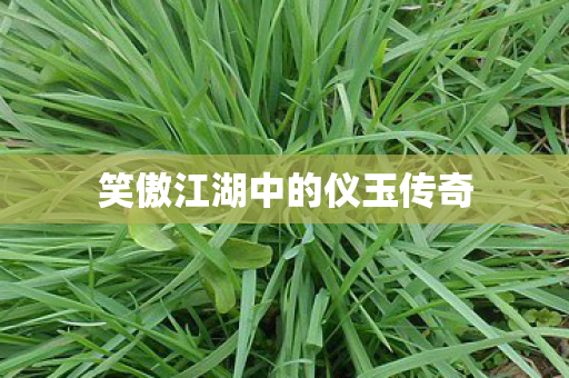 笑傲江湖中的仪玉传奇