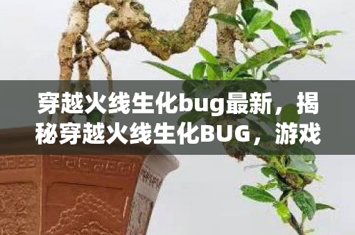 穿越火线生化bug最新，揭秘穿越火线生化BUG，游戏背后的秘密与挑战