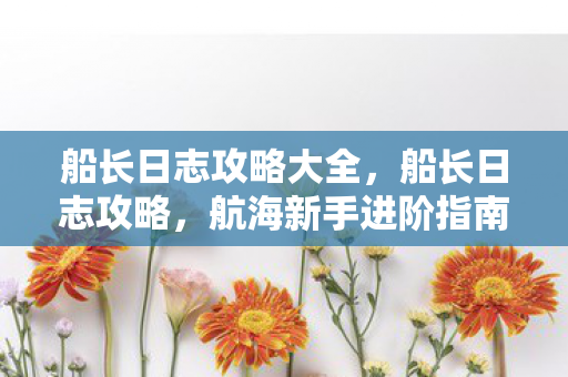 船长日志攻略大全，船长日志攻略，航海新手进阶指南