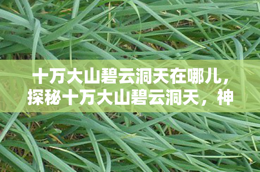 十万大山碧云洞天在哪儿，探秘十万大山碧云洞天，神秘的自然秘境