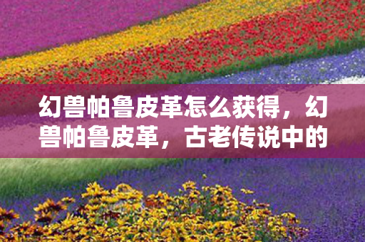 幻兽帕鲁皮革怎么获得，幻兽帕鲁皮革，古老传说中的神秘材质